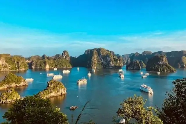 Panoramic view of Halong Bay with cruise boats under a bright blue sky
