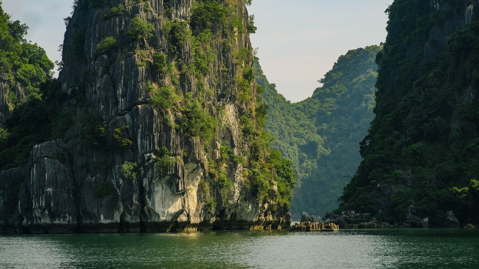 Limestone cliffs and green water seen from a viewpoint in Halong Bay